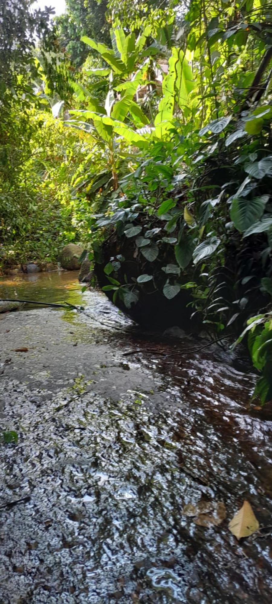 Sp Sertao Ubatumirim Casa Ate 10 Pessoas Ubatuba
